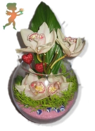 fanus ierisinde 4 orkide  zmir Karyaka iek siparii sitesi 