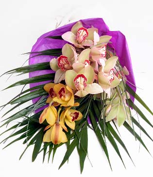  zmir Karyaka cicek , cicekci  1 adet dal orkide buket halinde sunulmakta