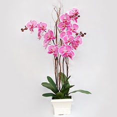  zmir Karyaka cicek , cicekci  2 adet orkide - 2 dal orkide