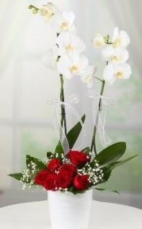 2 dall beyaz orkide 7 adet krmz gl  zmir Karyaka uluslararas iek gnderme 