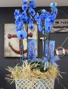 4 dall zel mavi orkide  zmir Karyaka internetten iek siparii 
