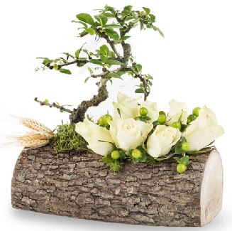 Doal ktkte bonsai aac ve 7 beyaz gl  zmir Karyaka nternetten iek siparii 